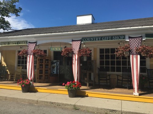 A charming country gift shop with American flags, flower pots, and a sign indicating it's open. Bright blue sky above.