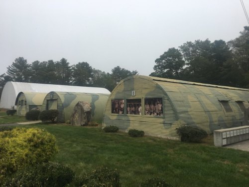 Two camouflaged buildings in a grassy area, surrounded by trees, with one featuring large windows displaying images.