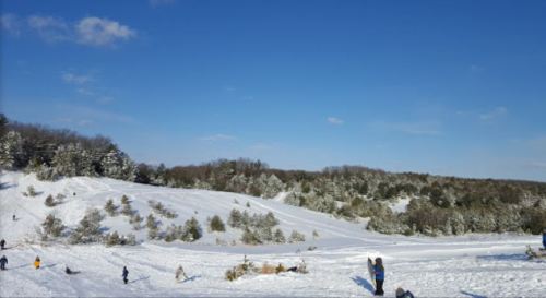 A snowy landscape with people sledding and playing, surrounded by trees under a clear blue sky.