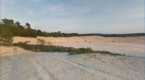 A sandy landscape with sparse vegetation, surrounded by trees and a clear sky in the background.