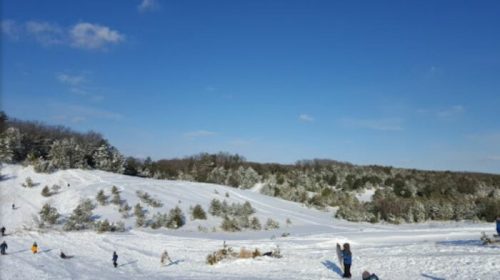 A snowy landscape with people sledding on a hill under a clear blue sky and trees in the background.