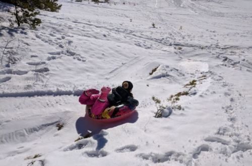 A child in a pink sled on a snowy hill, surrounded by tracks and trees in a winter landscape.