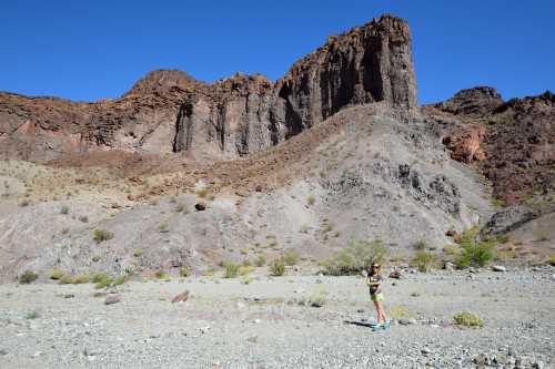 A person stands on rocky terrain in a desert landscape, with towering cliffs and a clear blue sky in the background.