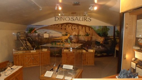 A dinosaur exhibit featuring displays, models, and a mural of a dinosaur on the wall.