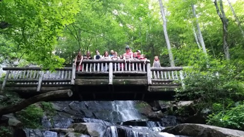 A group of children stands on a wooden bridge over a waterfall, surrounded by lush green trees.