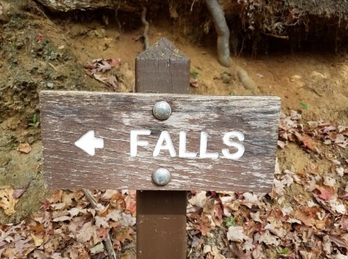 Wooden sign pointing left with the word "FALLS" in white letters, surrounded by autumn leaves and earthy background.