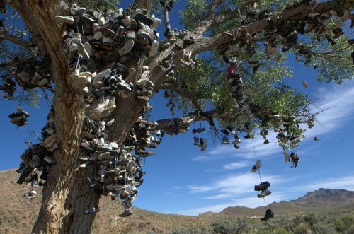 A tree adorned with numerous hanging shoes against a clear blue sky and desert landscape.