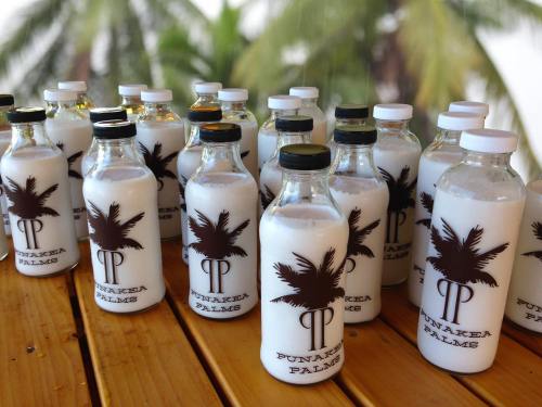 A collection of glass bottles with white liquid, labeled "Punaka Palms," set against a backdrop of palm trees.