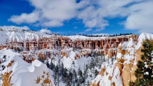 Snow-covered cliffs and trees under a bright blue sky at Bryce Canyon National Park.