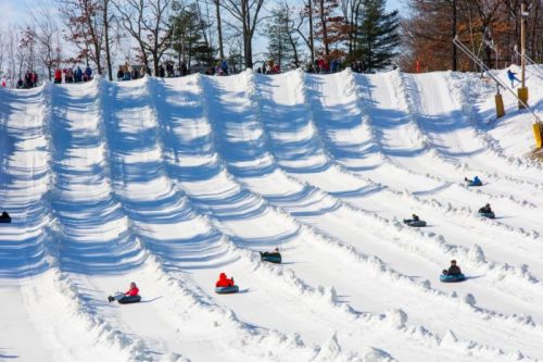 People sledding down a snowy hill, with multiple lanes and trees in the background on a sunny winter day.