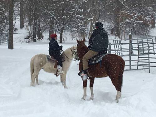 Two riders on horseback in a snowy landscape, surrounded by trees and a fence, enjoying a winter day.