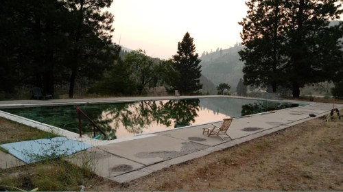 A serene, empty swimming pool surrounded by trees, reflecting the landscape at dusk.