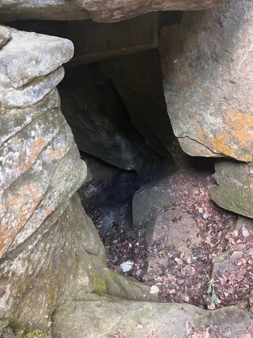 A narrow cave entrance surrounded by large, moss-covered rocks and scattered leaves on the ground.