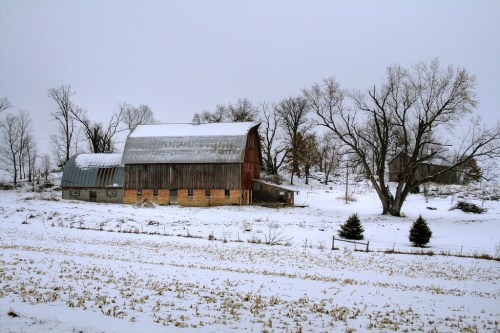 A snowy landscape featuring a rustic barn and trees, with a field in the foreground and a gray sky above.