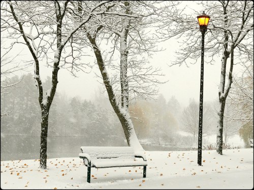 A snowy park scene featuring a bench, bare trees, and a lamp post under falling snowflakes.