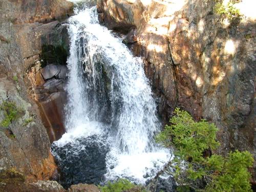 A cascading waterfall flows over rocky terrain, surrounded by lush greenery and sunlight filtering through the trees.