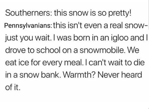 A humorous text exchange about snow, contrasting Southerners' excitement with Pennsylvanians' tough winter experiences.