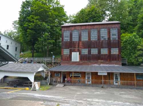 A rustic building with large windows, surrounded by trees, featuring an open gallery sign and outdoor seating.