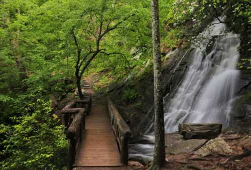 A wooden bridge leads through lush greenery to a cascading waterfall in a serene forest setting.