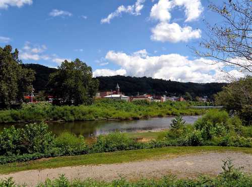 A scenic view of a river surrounded by greenery, with a small town and hills in the background under a blue sky.