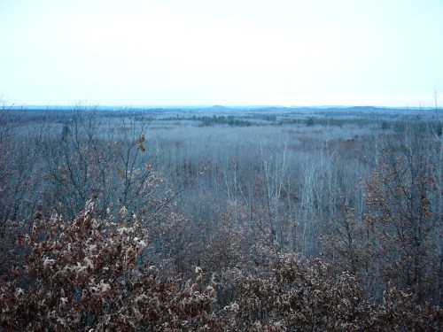 A vast, overcast landscape of bare trees and distant hills, creating a serene, muted atmosphere.