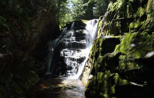 A serene waterfall cascading over moss-covered rocks in a lush, green forest. Sunlight filters through the trees.