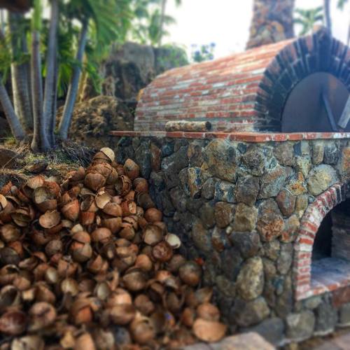 A rustic outdoor oven made of stone and brick, surrounded by a pile of coconut shells and tropical greenery.
