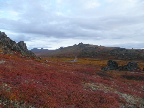 A vast landscape with rocky terrain and vibrant red vegetation under a cloudy sky. Mountains are visible in the distance.
