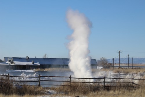 A geyser erupts in a snowy landscape, with a farmhouse and fence in the background under a clear blue sky.