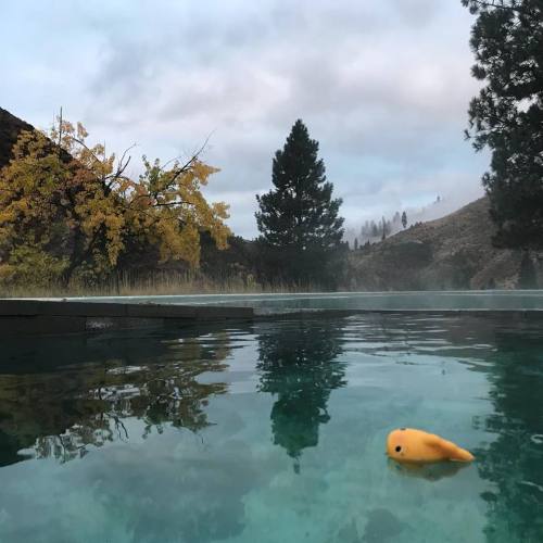 A serene hot spring surrounded by autumn trees, with a small yellow rubber duck floating on the water's surface.