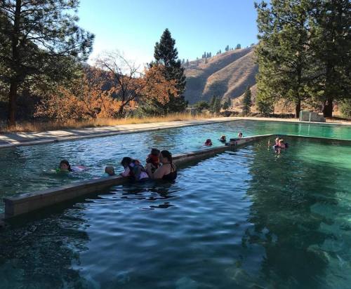 A group of people swimming in a pool surrounded by trees and hills on a sunny day.