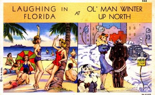 A vintage postcard split between sunny Florida beach scenes and a snowy winter scene up north.