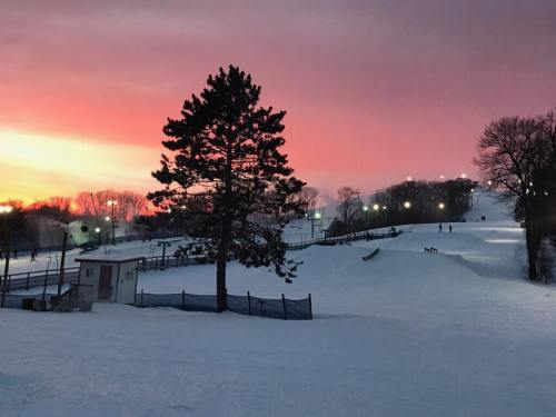 A snowy landscape at sunset, featuring a silhouetted tree and illuminated ski slopes in the background.