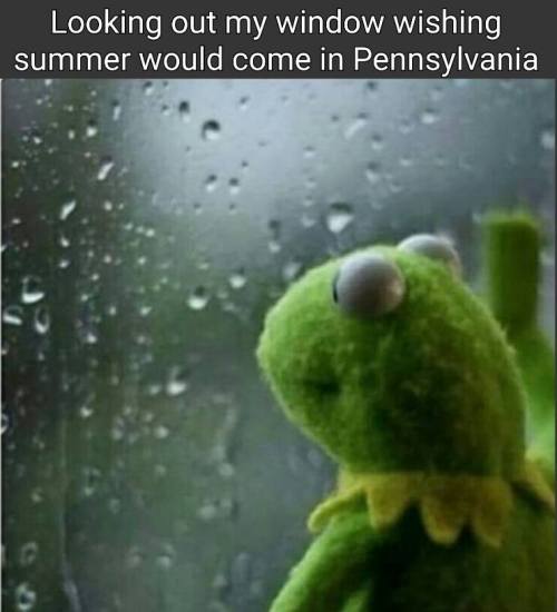 A plush frog looks out a rainy window, longing for summer in Pennsylvania.