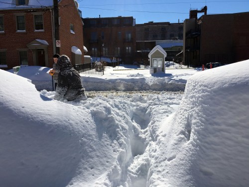 A person shovels snow in a residential area, with tall snowbanks on either side and a clear blue sky above.