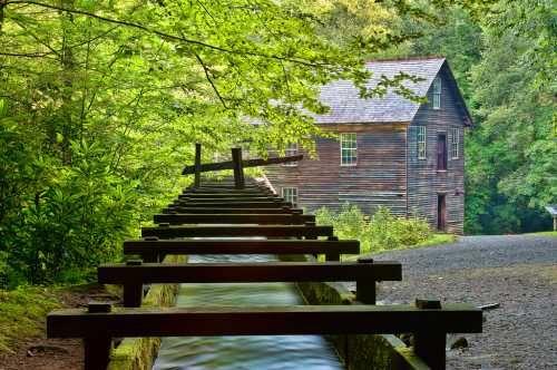 A wooden structure leads to a rustic house surrounded by lush greenery in a serene forest setting.