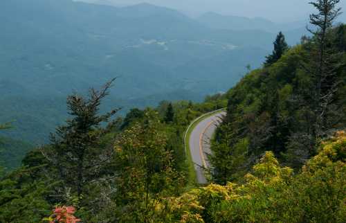 A winding road curves through lush green mountains under a hazy sky, surrounded by trees and vibrant foliage.