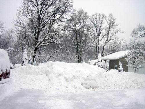 A snowy landscape with tall trees and a house, featuring a large snowbank in the foreground and a wintery atmosphere.