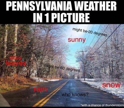 A split image showing a road with snow, leaves, and rain, humorously depicting unpredictable Pennsylvania weather.
