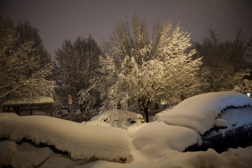 A snowy night scene with trees and cars covered in thick layers of snow, illuminated by soft light.