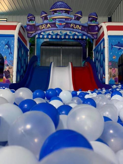Colorful inflatable play structure with slides and a ball pit filled with blue and white balls, labeled "Sea Fun."
