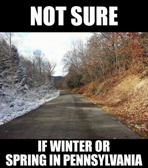 A road in Pennsylvania shows a mix of snow and bare trees, highlighting the transition between winter and spring.