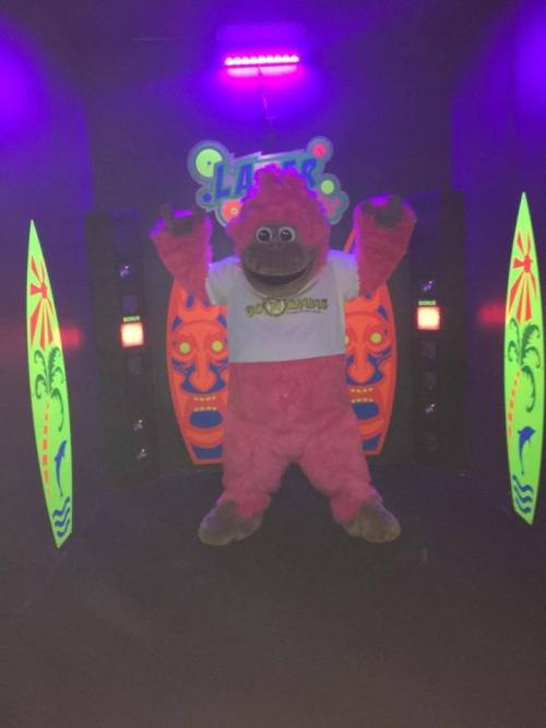 A pink gorilla mascot in a brightly lit, colorful setting with tropical decorations and neon lights.