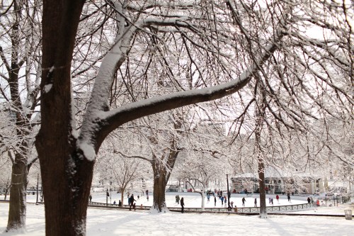 A snowy park scene with people ice skating on a rink surrounded by bare trees.