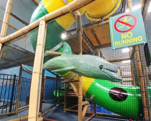 Colorful indoor play structure featuring slides and a dolphin figure, with a "No Running" sign visible.