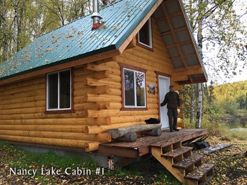 A wooden cabin with a blue roof, surrounded by trees, and a person standing on the porch. Autumn leaves scattered.
