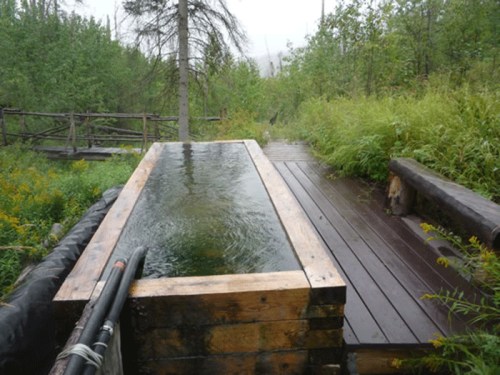 A wooden hot tub filled with water, surrounded by lush greenery and a wooden deck in a forested area.