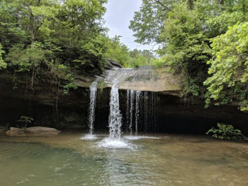 A serene waterfall cascading over rocks into a calm pool, surrounded by lush green trees and foliage.