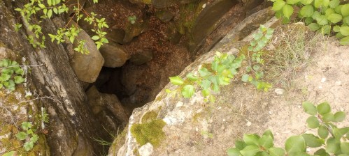 A rocky crevice surrounded by greenery, revealing a dark opening below.