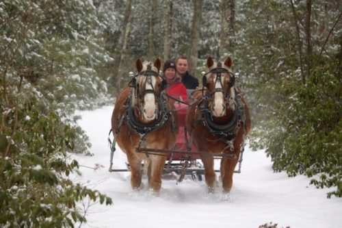 A horse-drawn sleigh travels through a snowy forest, with two horses pulling and two people seated in the sleigh.